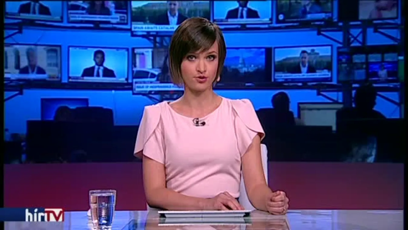  Vashegyi György az MMA új elnöke