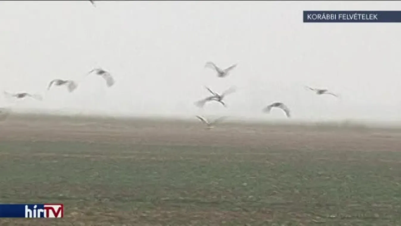 Alkotmányellenesen privatizálták a védett földeket