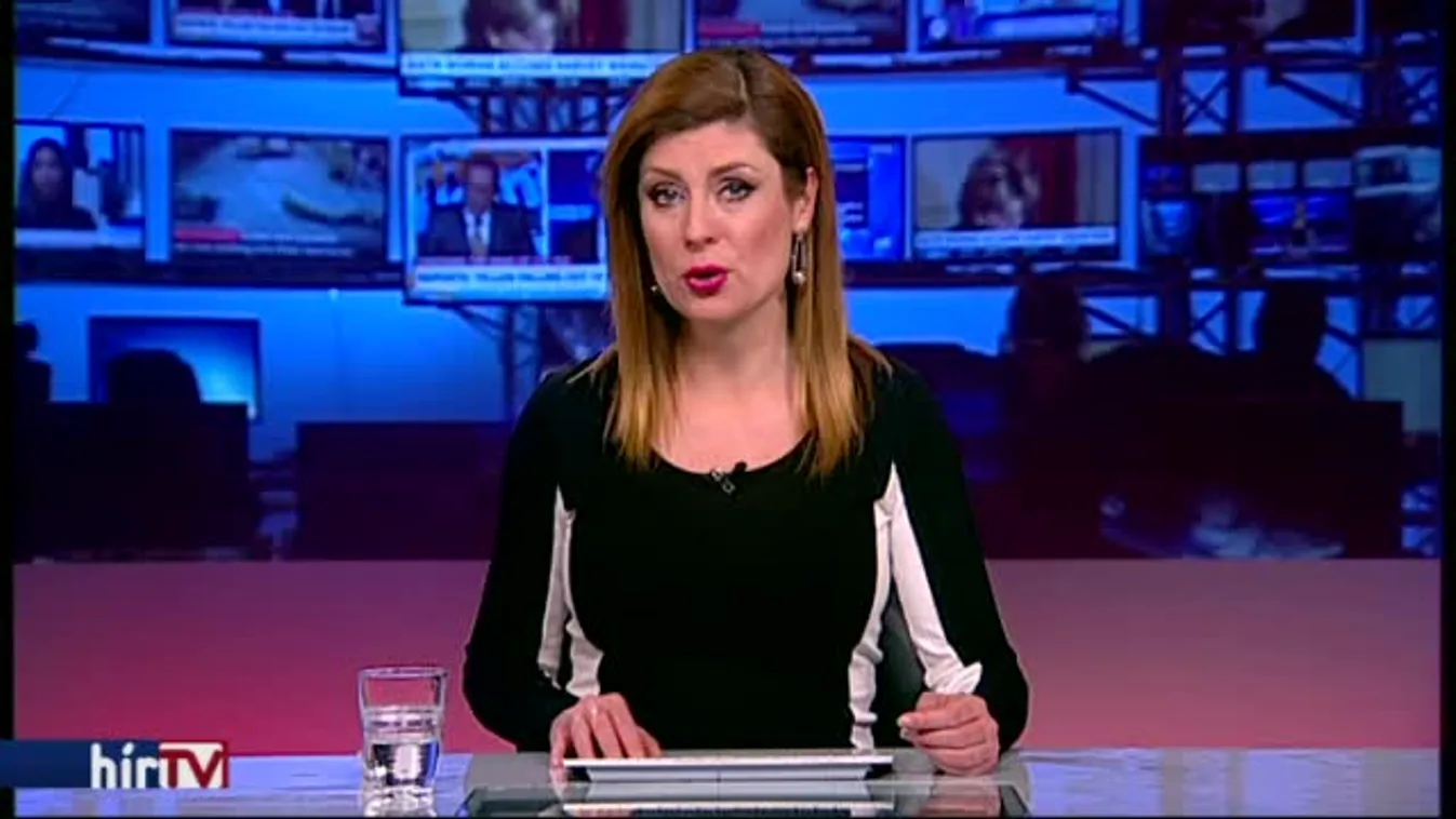 A Fideszt hidegen hagyták Áder aggályai