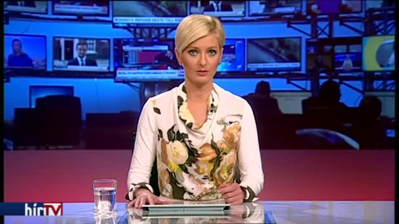 Felsőoktatási törvény - Hiller