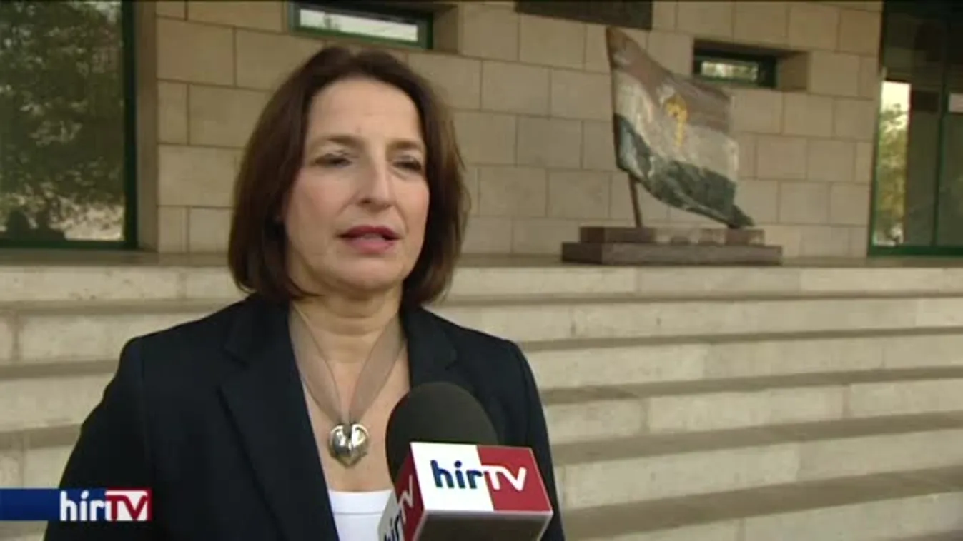 Szelényi: A magyar kormány ratifikálja az isztambuli egyezményt!