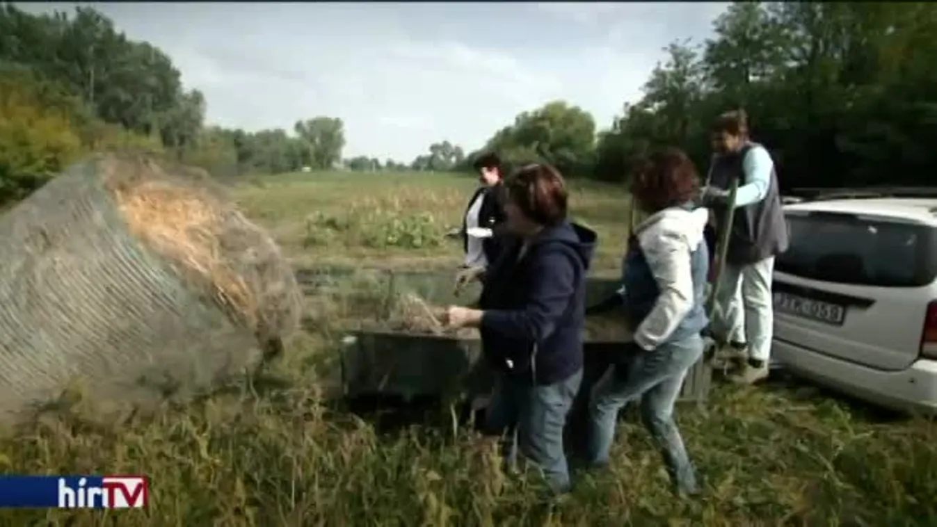 Látótér - Társult tagság