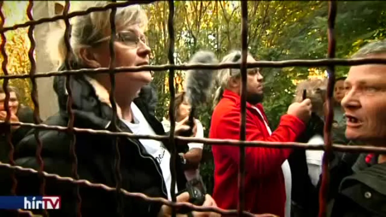 Látótér - Jogcím nélkül