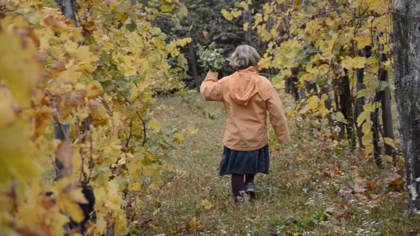 Szürettel és borral emlékeznek Nagy Imrére