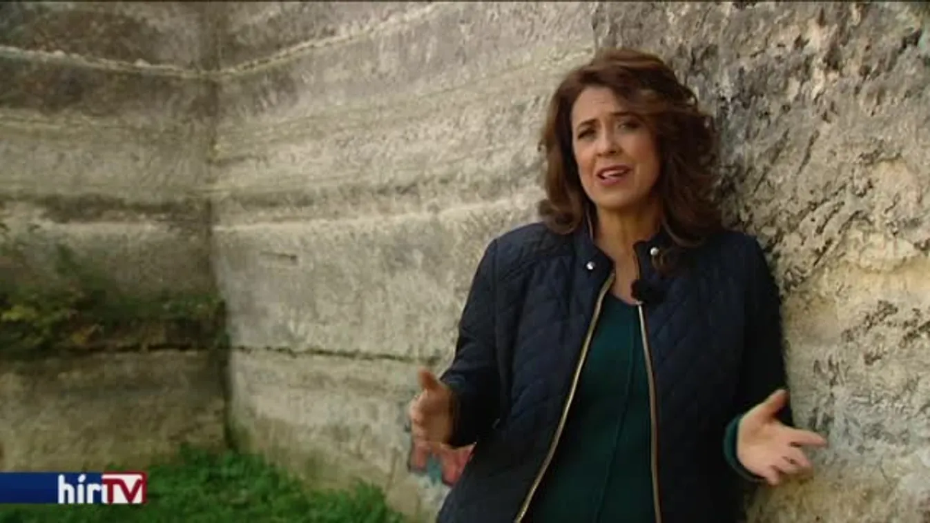 Panaszkönyv – Online