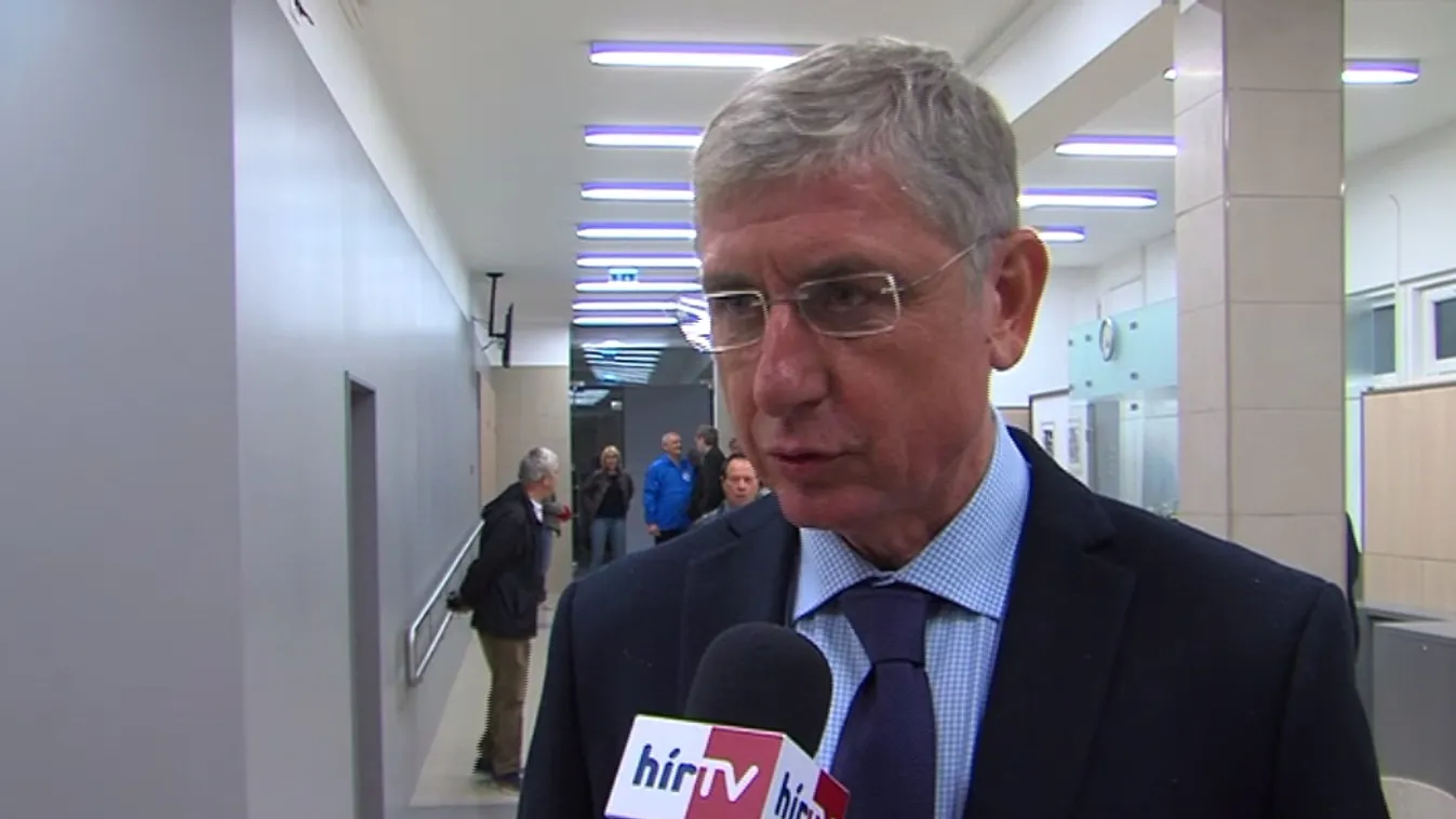 Gyurcsány: Botka magának köszönheti a bukását