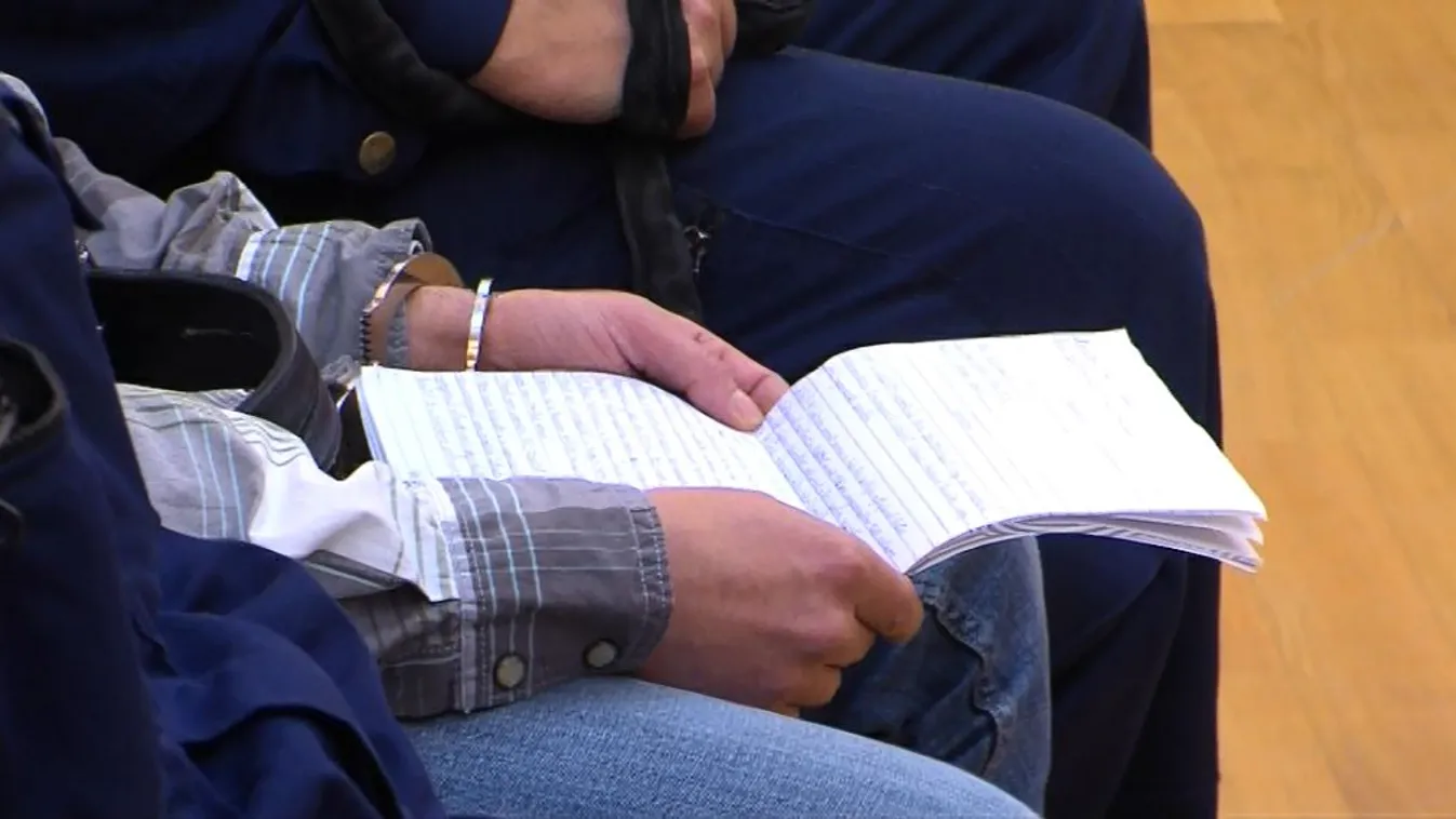 Életfogytiglant kapott az idős asszonyt agyonverő férfi