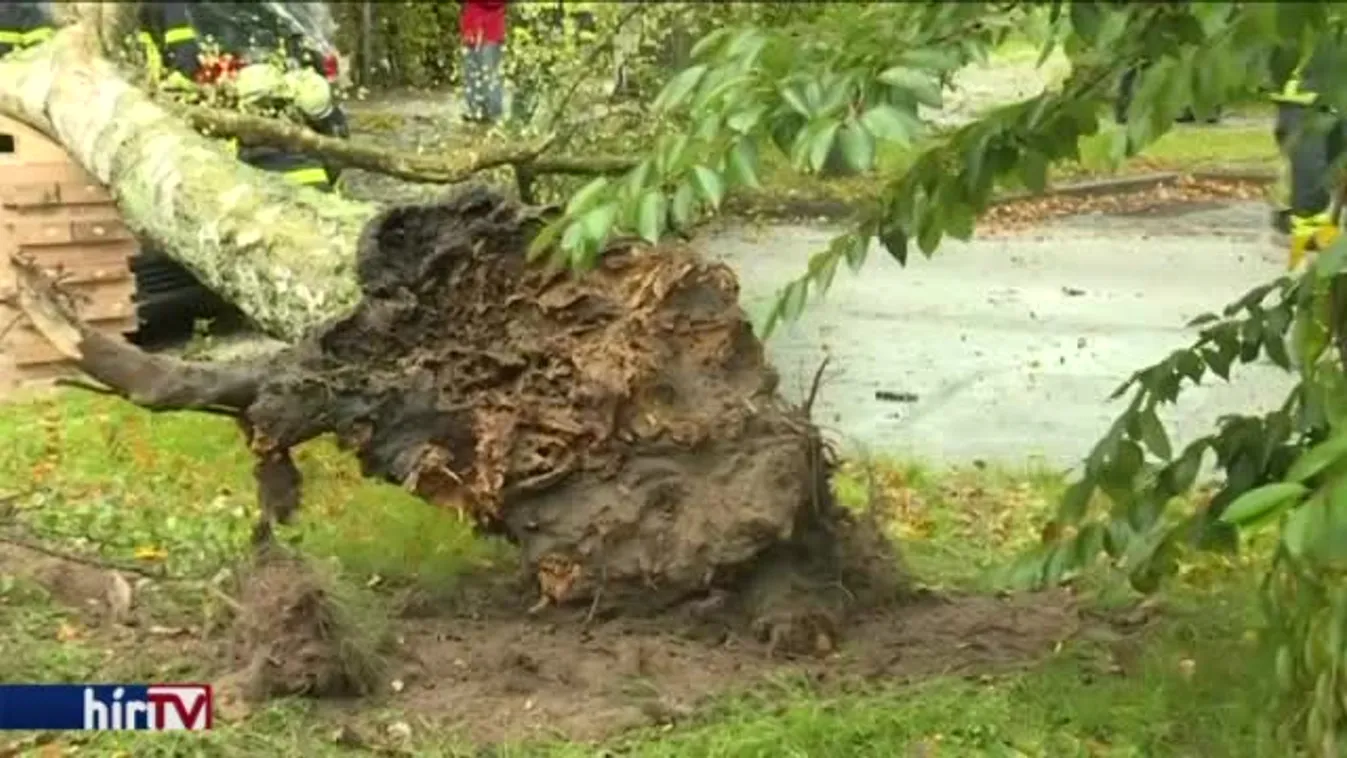 Halálos vihar pusztított Németországban