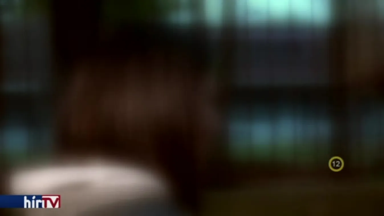 Riasztás - Józan babák