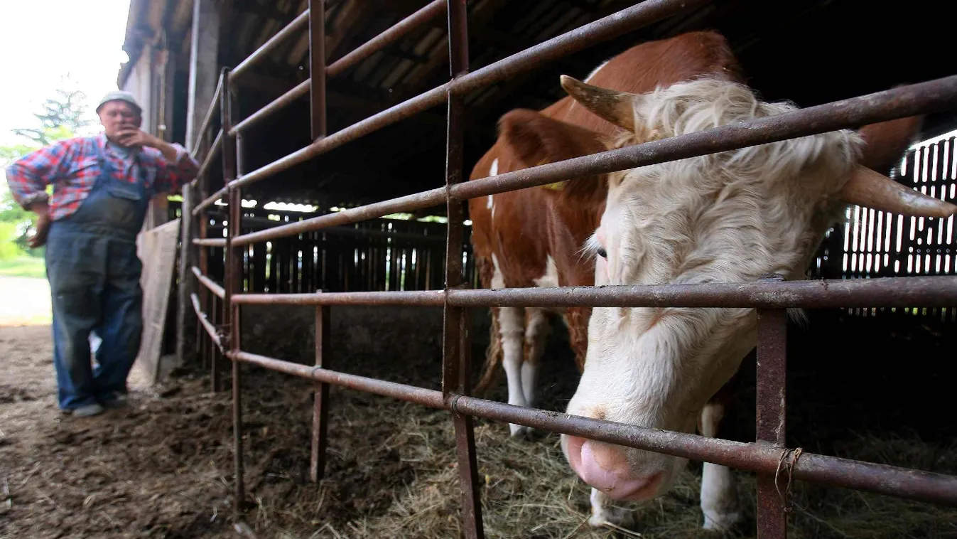 Tartalék – Soroló