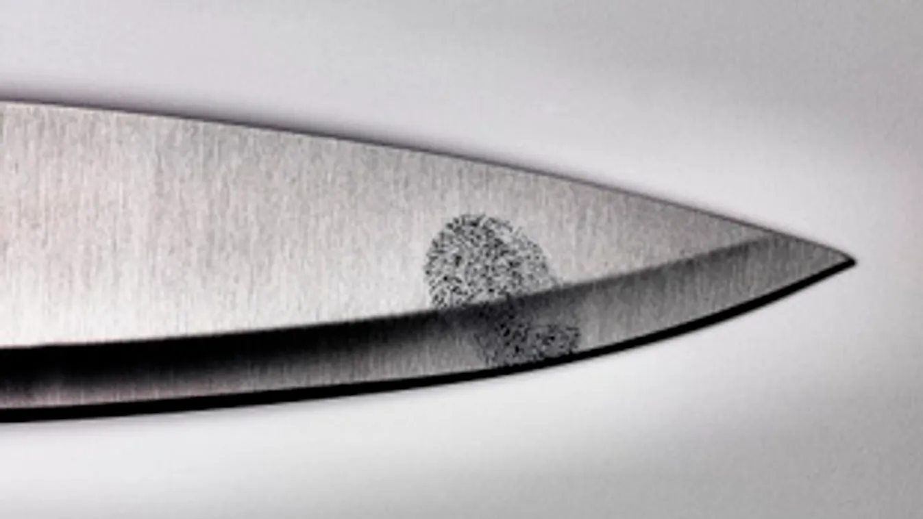 Leszúrta élettársát