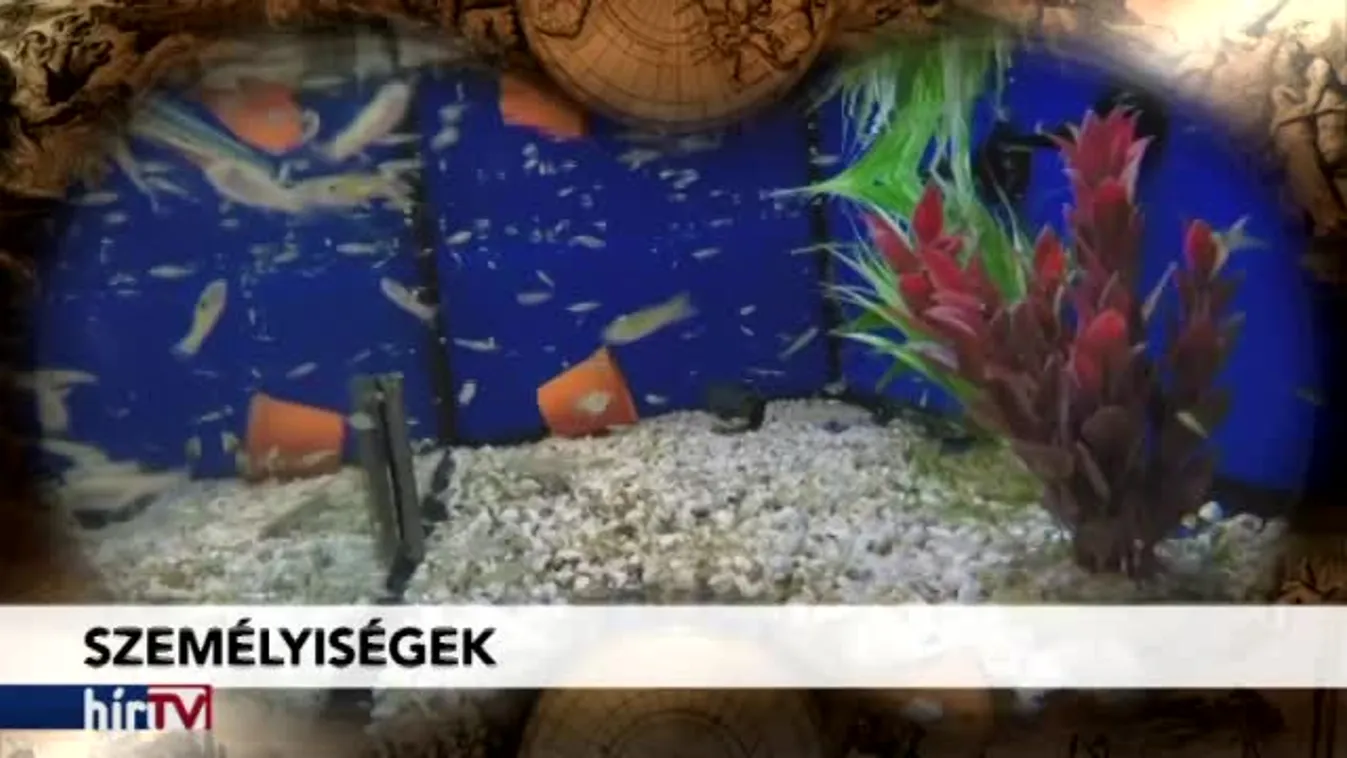 Felfedező - Életmentő