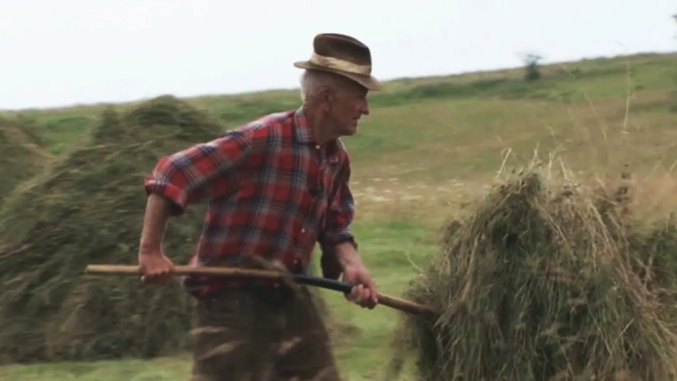 Alla rustica – Vetítő