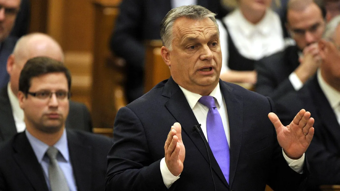 Narancsvidék – Egyenesen