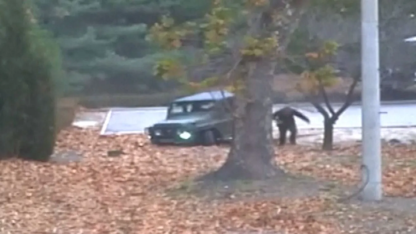 Drámai videón az észak-koreai katona menekülése