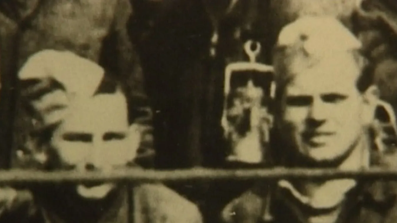 C-legények – Vetítő