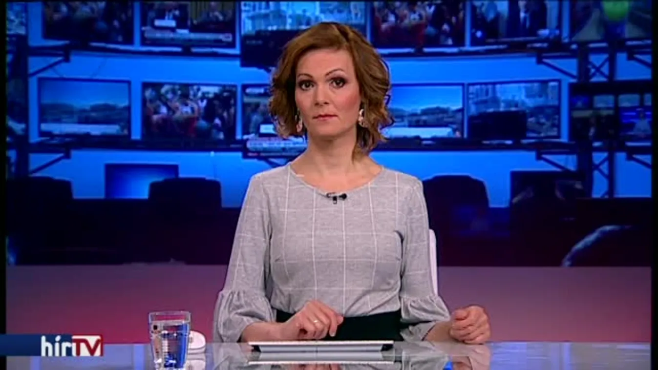 Ártatlannak vallotta magát Gömöri