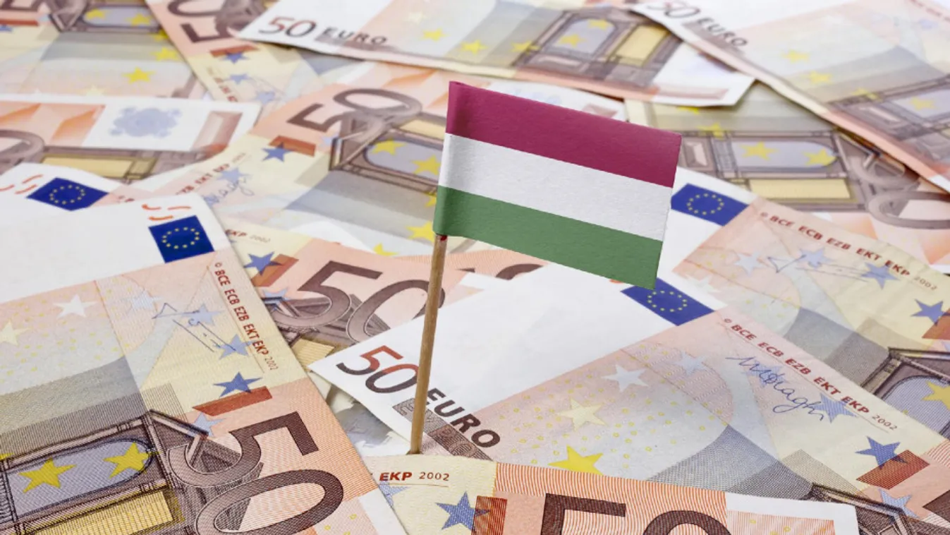 Az euró bevezetése mellett és ellene is érveltek