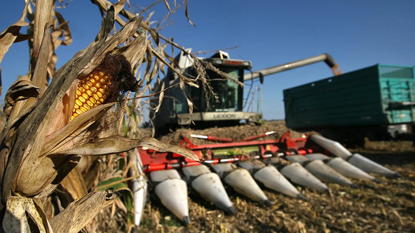 Hogyan lehet a fiatalokat megtartani a mezőgazdaságban? – Soroló