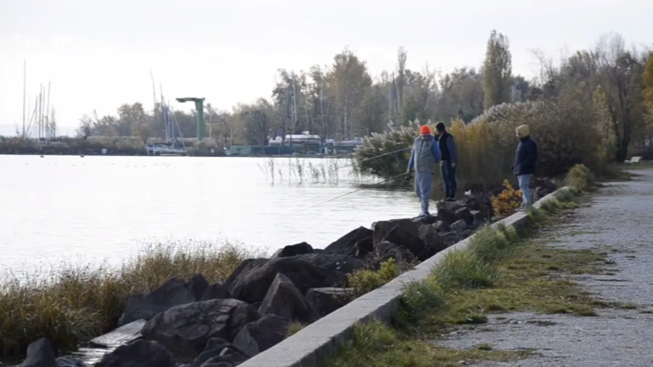A balatoni hal védjegy bevezetésén fáradoznak