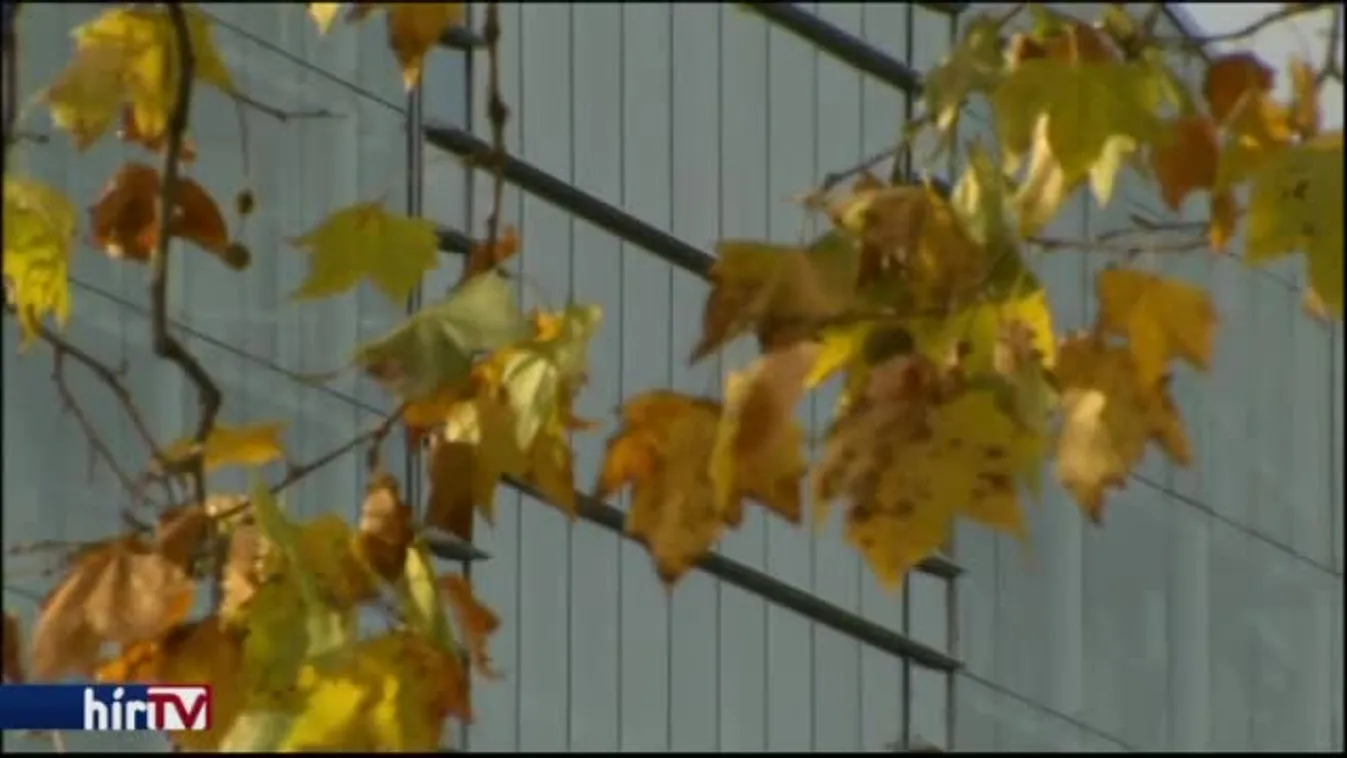 Varsó sem ússza meg a hetescikkely-eljárást