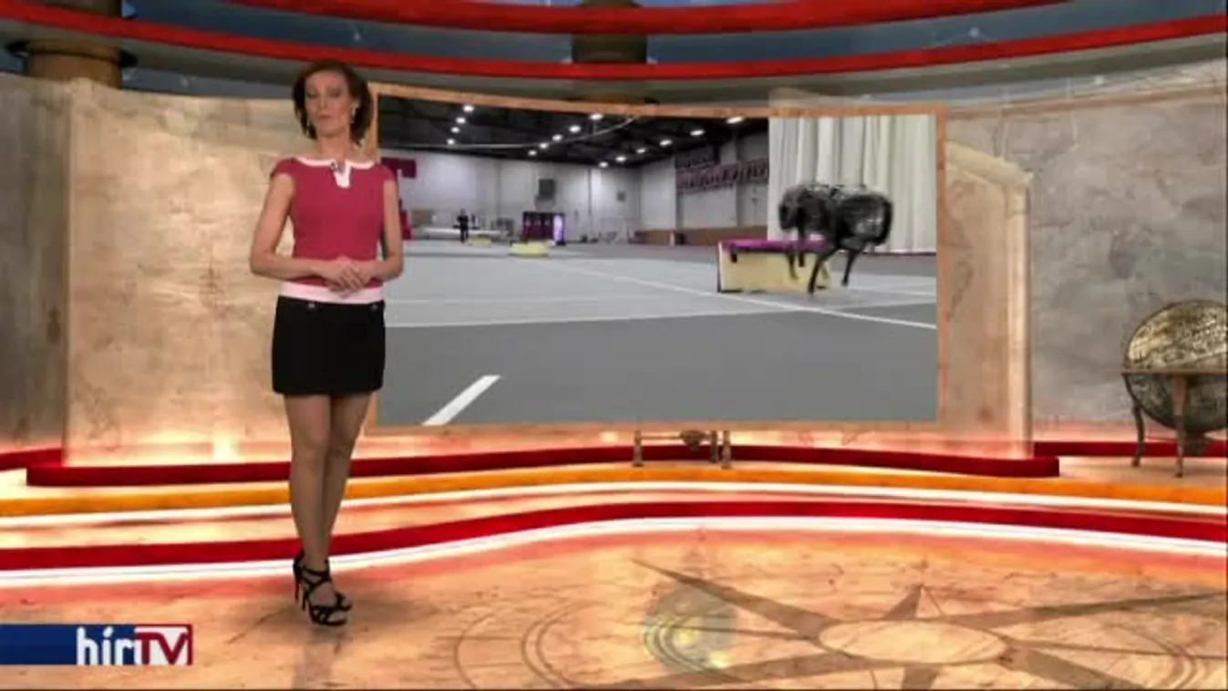 Felfedező – Robotkutya