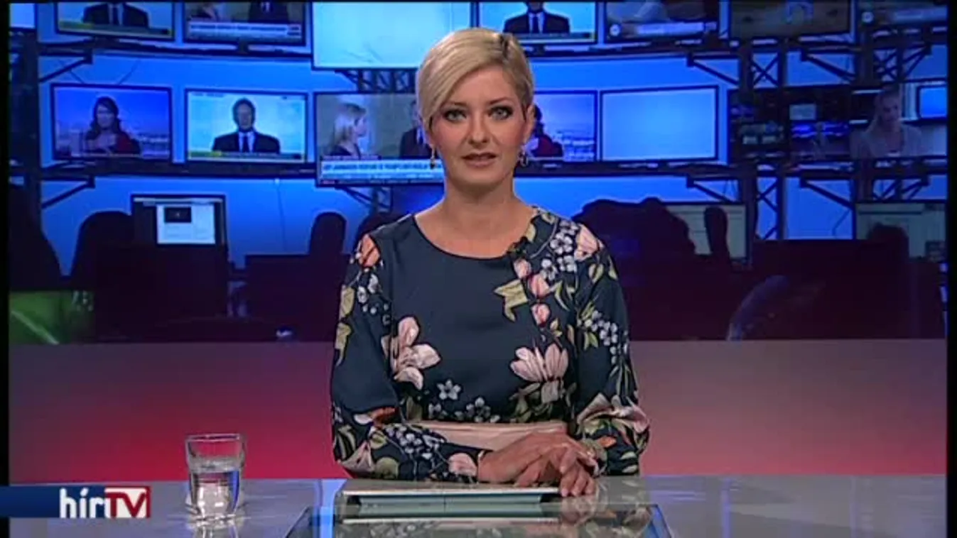 Az észt elnökség megreformálná a "dublini rendszert"