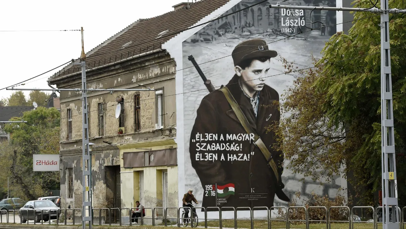 Dózsa László-ügy: Schmidt Máriáék bűnbakot találtak?