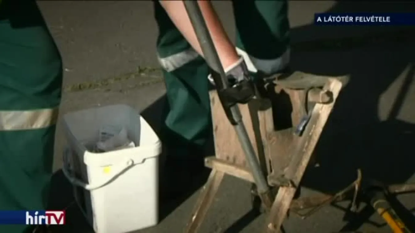 Több pénzt kér a fővárostól egy patkányirtásra szakosodott cég