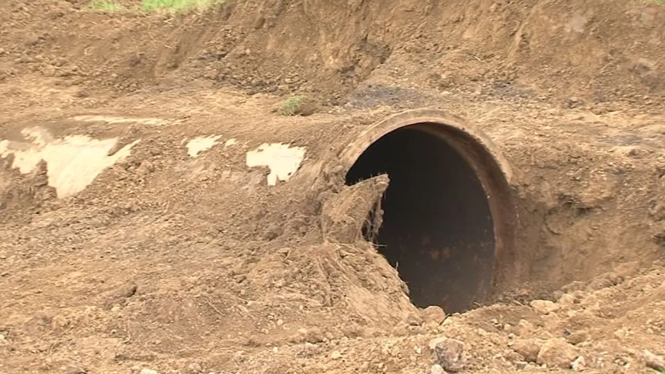 Kormánykedvenc cégek szorultak ki egy zsíros üzletből