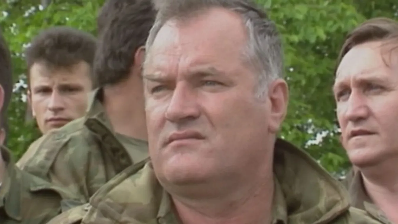 Ítélet várható Mladic ügyében