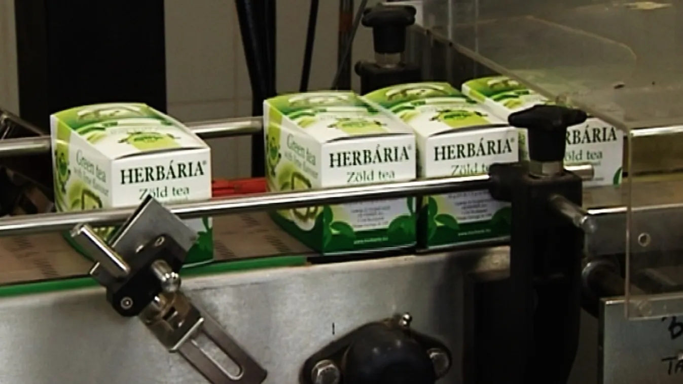 Apa-fia harc teheti tönkre a Herbáriát