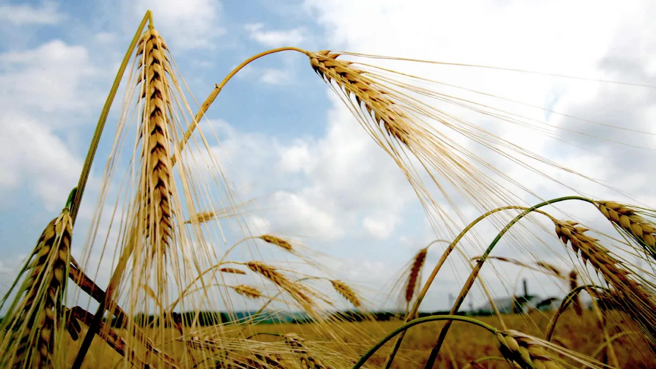 Mi lesz az agrártámogatásokkal 2020 után? – Reggeli járat