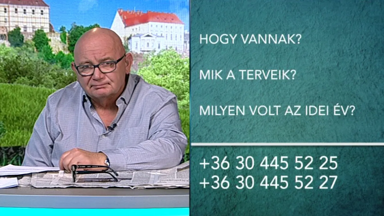 Mik a terveik?