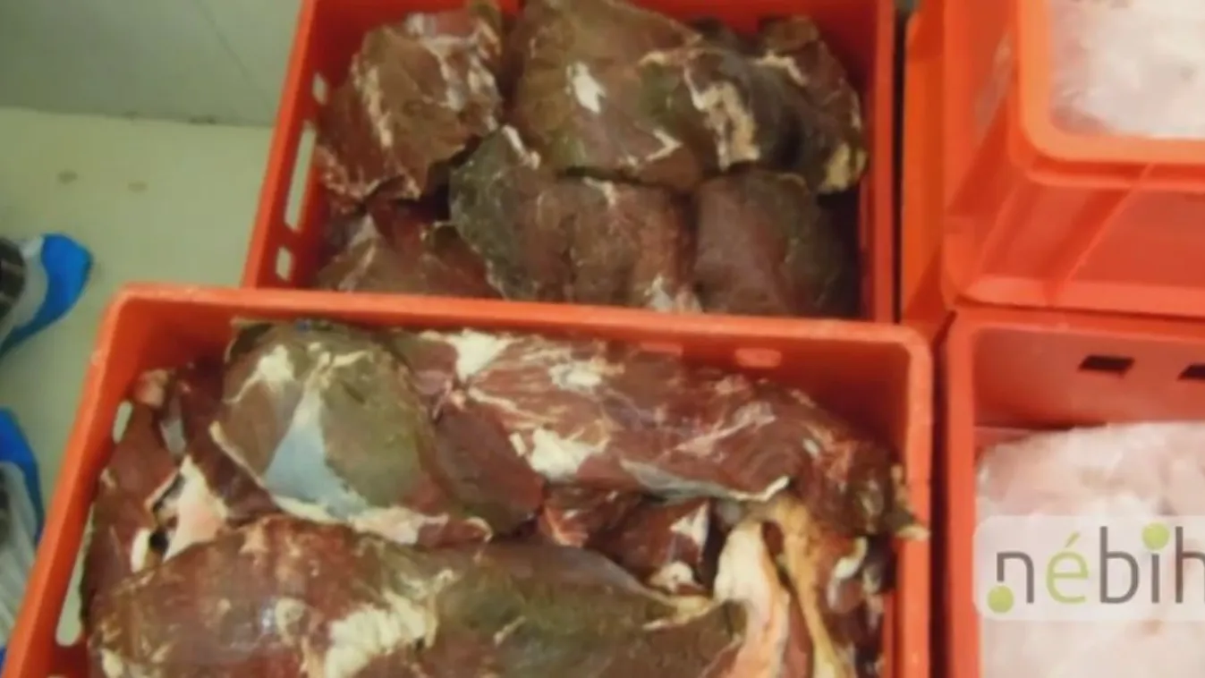 Többtonnányi penészes húst talált a Nébih