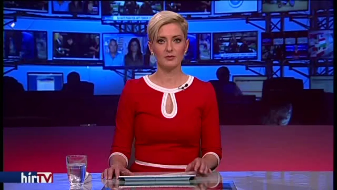 A jobbikos képviselő kizárná Garancsi cégét