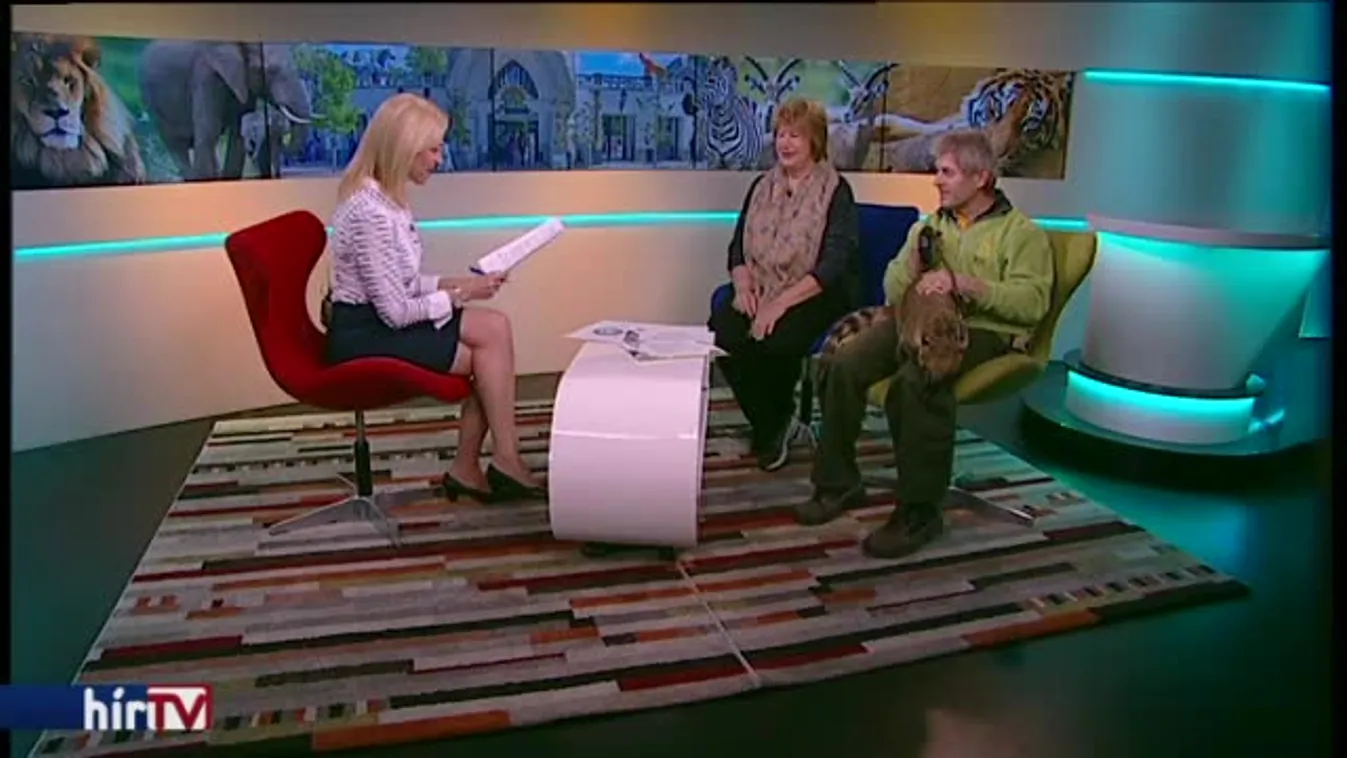 Reggeli járat - Állati karácsony