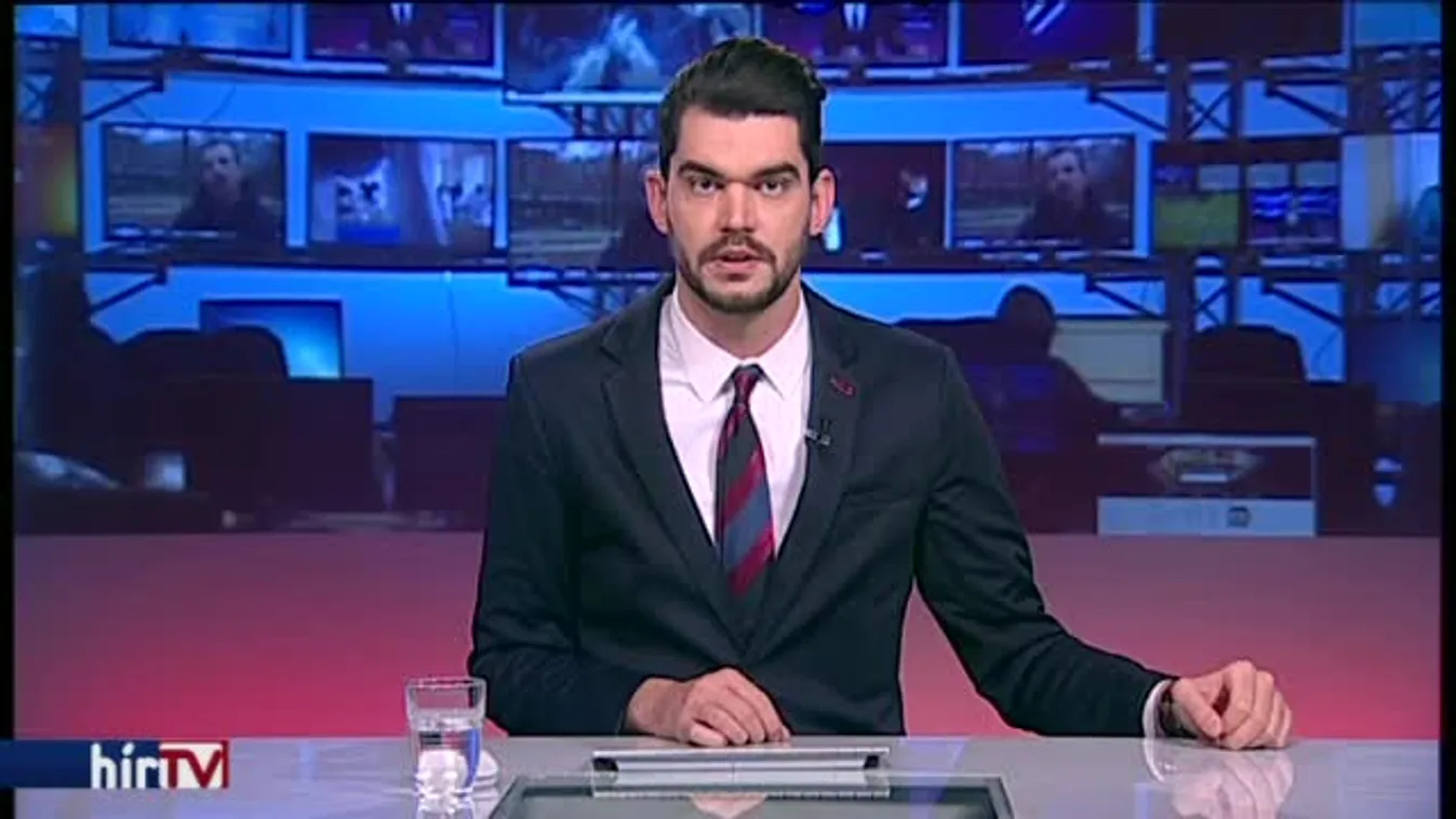 Házi kedvenc lehetett az utcán befogott krokodil