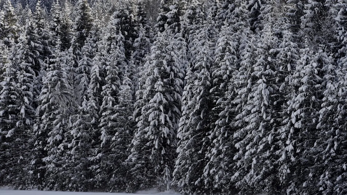 Farkasok Bajorországban – BBC Travel Show