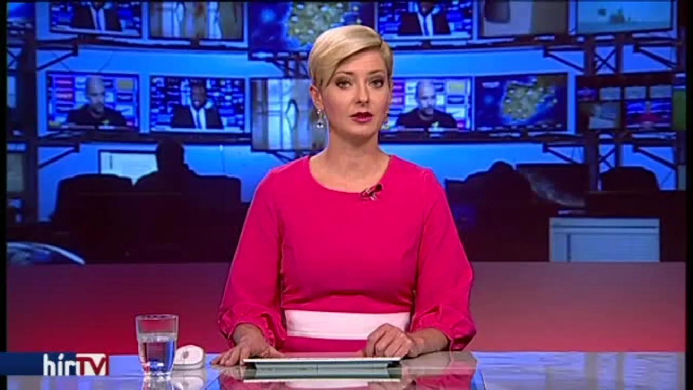 Hollik: Nonszensz a Helsinki Bizottság követelése