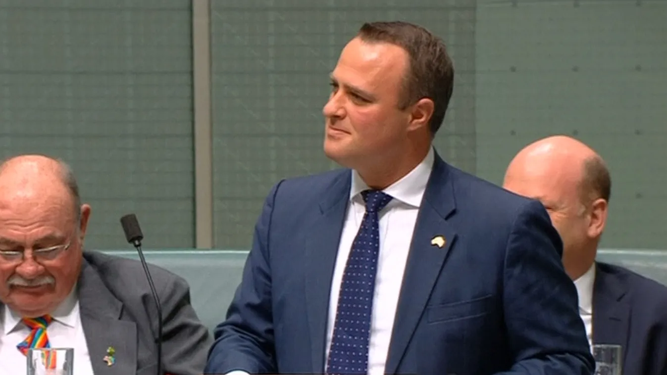 A melegházasság parlamenti vitáján kérte meg barátja kezét a képviselő