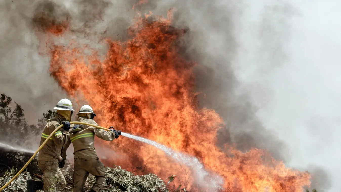 Szükségállapotot rendeltek el San Diegóban