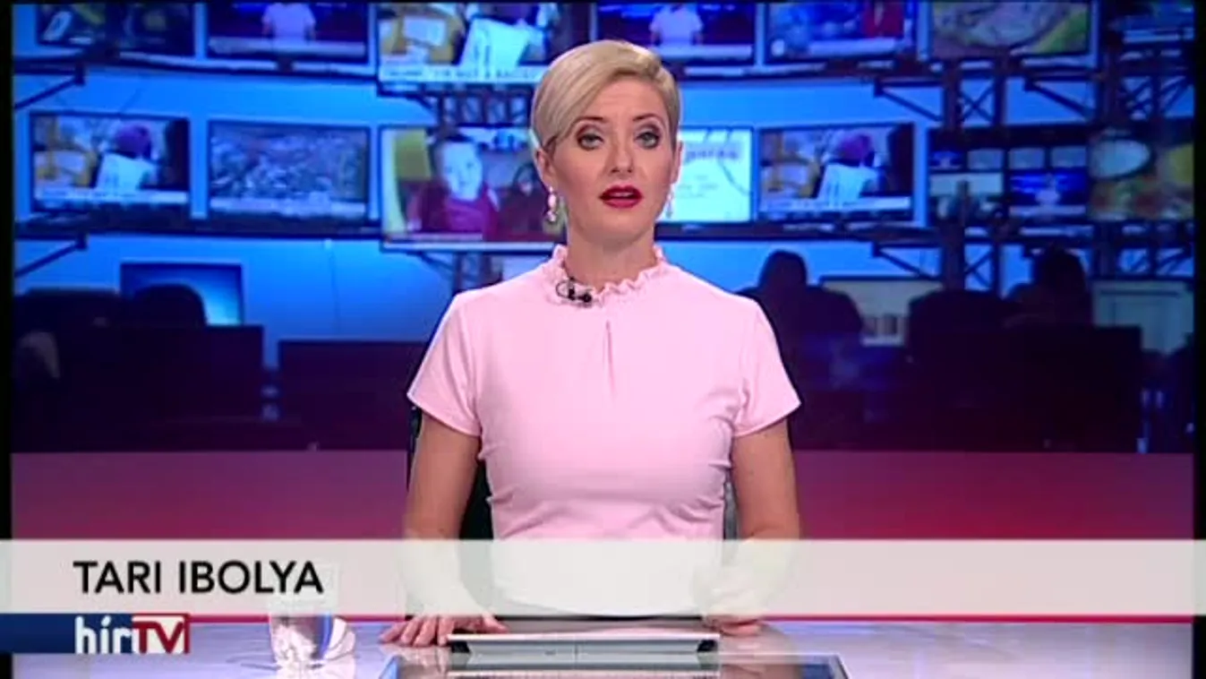 Főként uniós pénzen hízik Mészáros cégbirodalma