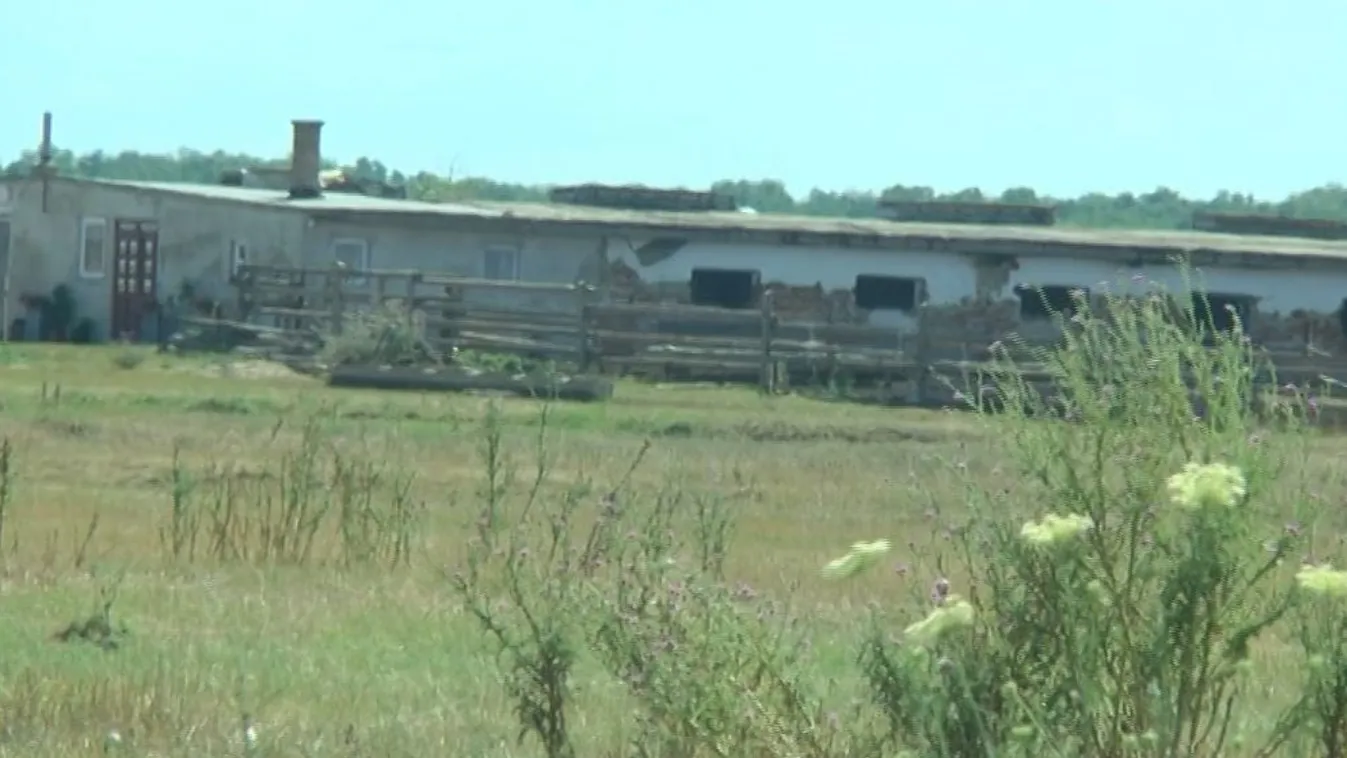 Sorra kapja a megbízásokat az államtitkár férje