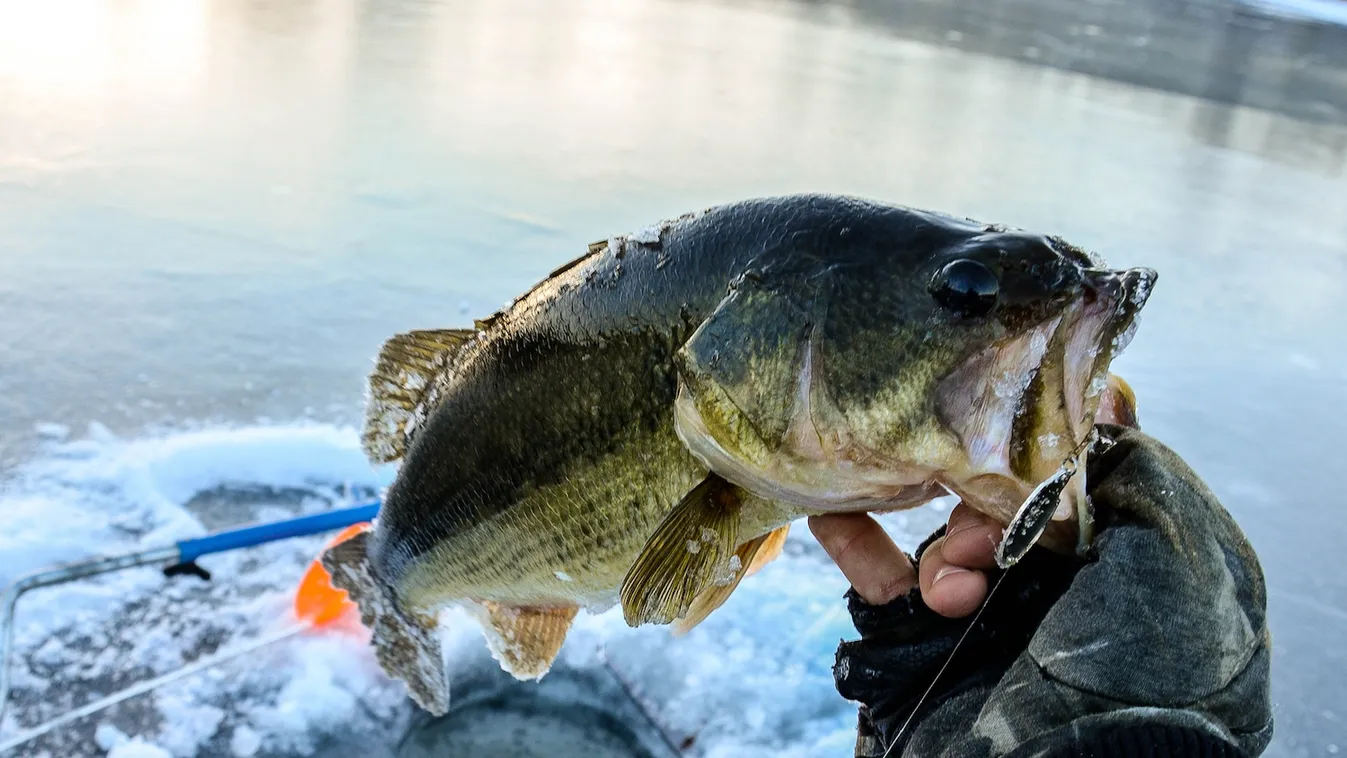 Mindenkinek jut egy lyuk – Felfedező