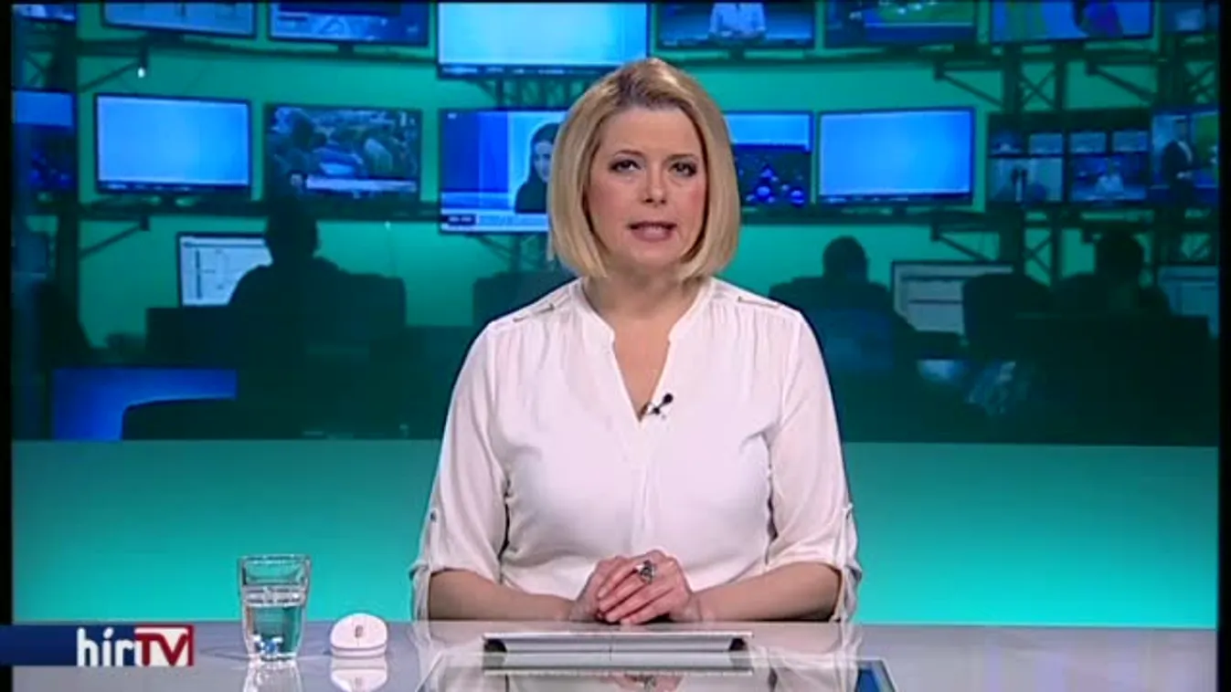 Kényszergyógykezelték, a rendszer elengedte a kezét, másodszor is ölt