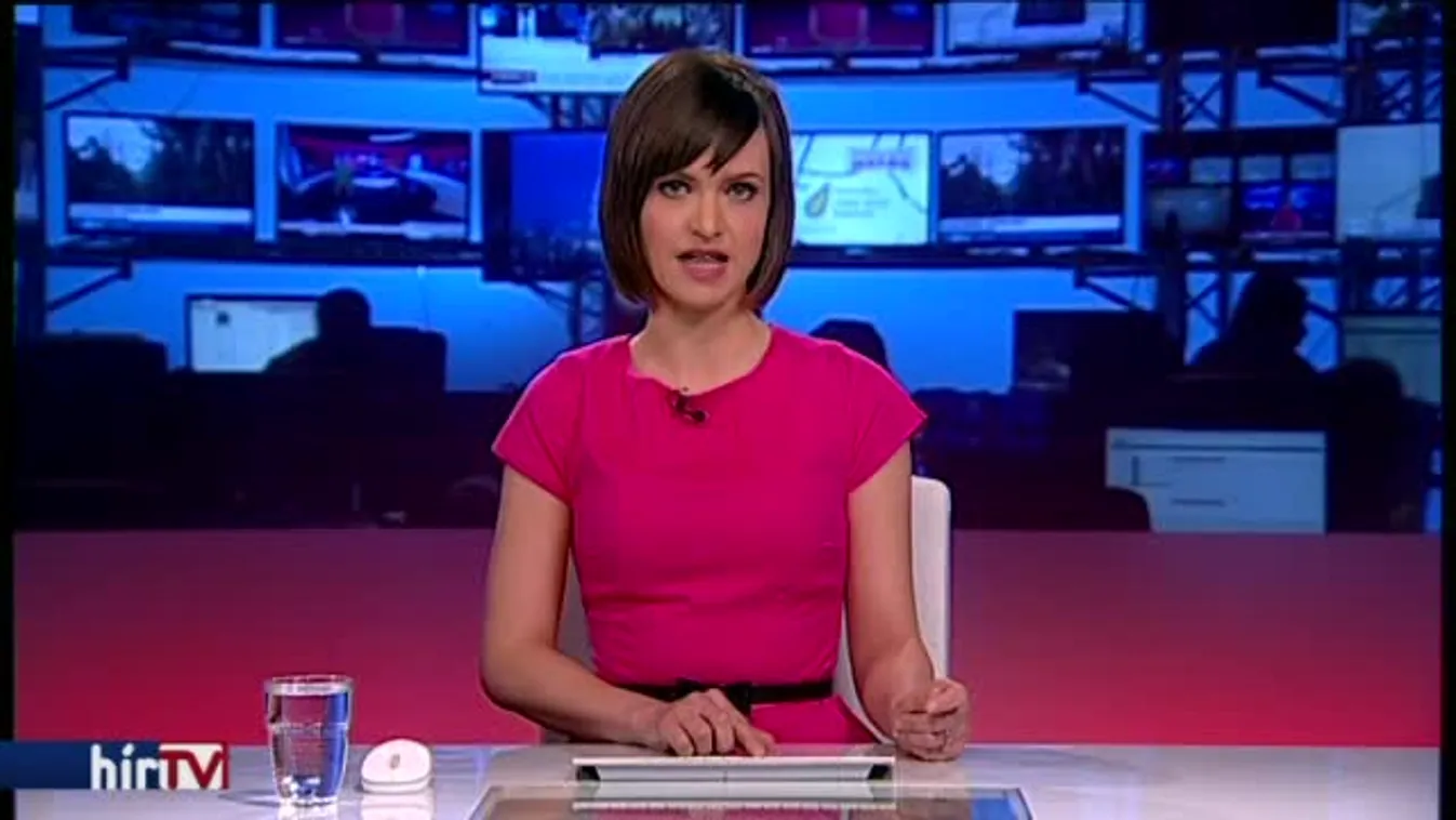 Hollik: Eddig nem volt baja az ellenzéknek az ÁSZ-törvénnyel