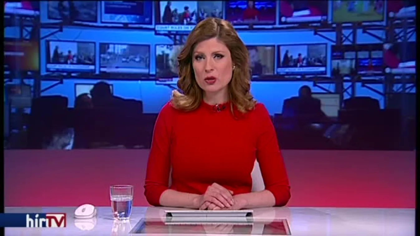 Tényi: Elfogadhatatlan a magyar kormány propagandája