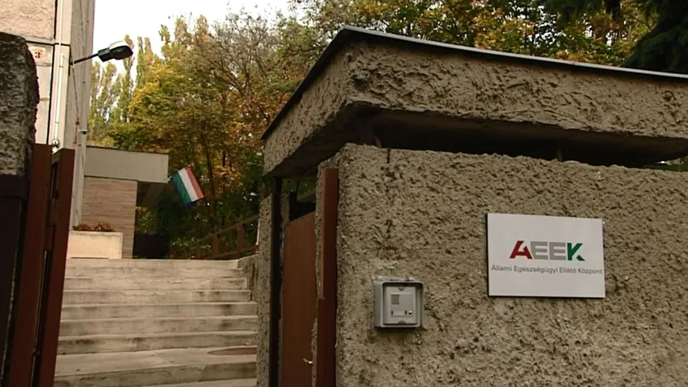 Most éppen Mészáros Lőrinc bizalmasa kapott százmilliókat