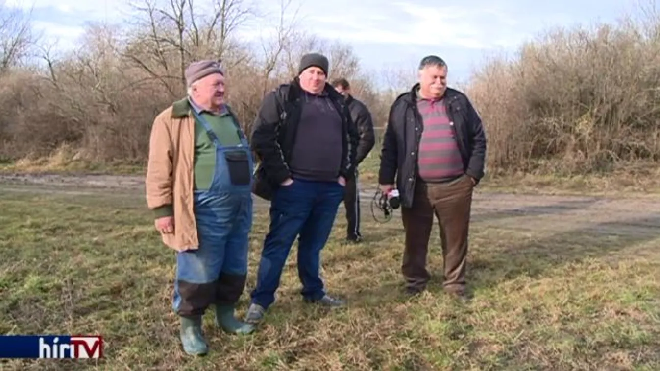 Tyúkperek, amelyek mérgezik a falvak legelőjét